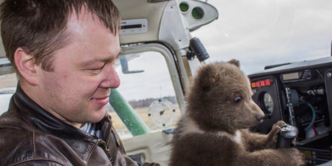 Как российские летчики усыновили медвежонка