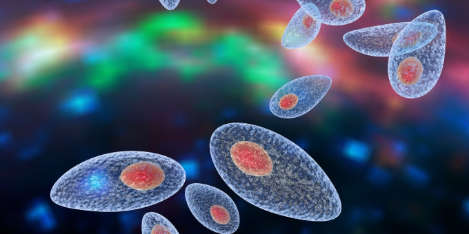 4 опаснейших паразитов, затаившихся в вашей еде