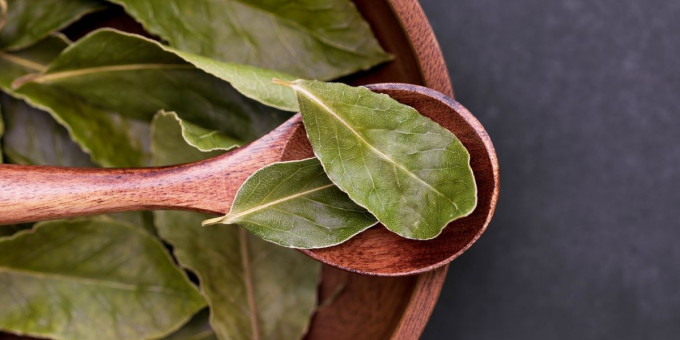 Обычный лавровый лист творит чудеса, если его поджечь