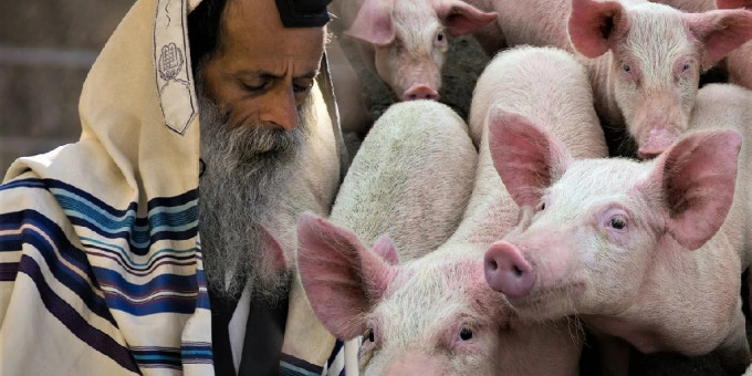 Разумные причины, почему мусульмане не едят свинину