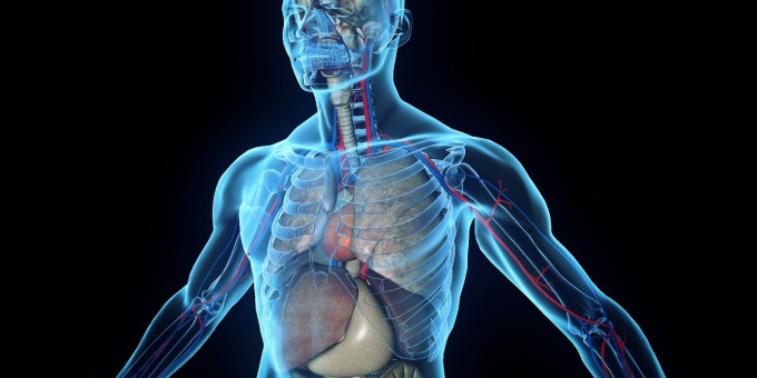 5 глупых мифов о здоровье