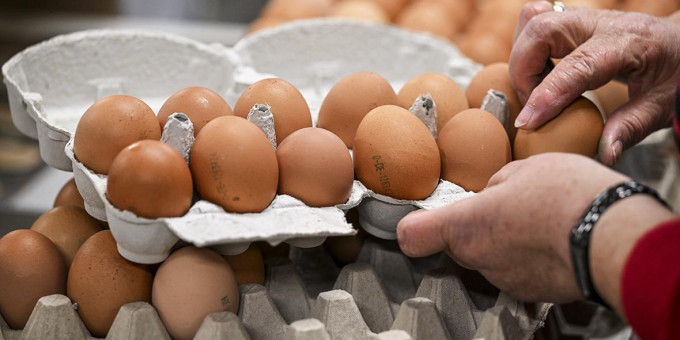 Не просто белок: скрытые суперспособности яиц