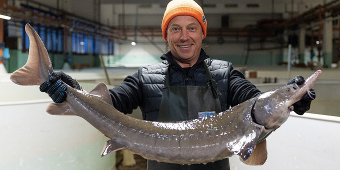 11 видов дорогой рыбы, есть которую на самом деле нельзя