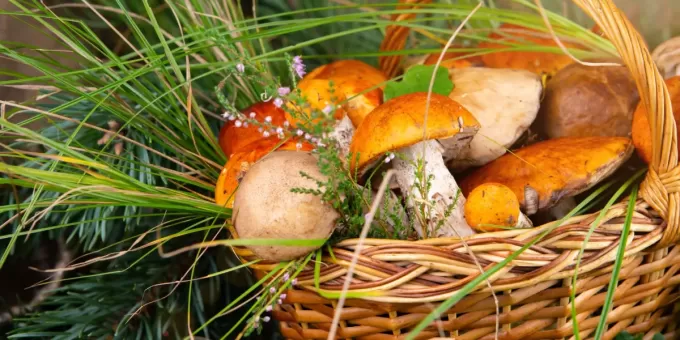 Назван неожиданный продукт, который защитит от тяжелых болезней