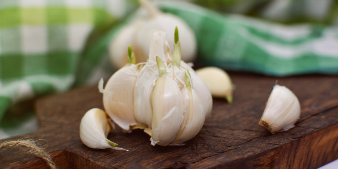 Что произойдет, если на ночь положить в ухо чеснок