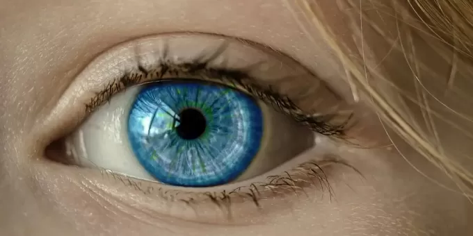 Все голубоглазые люди на Земле имеют одного предка