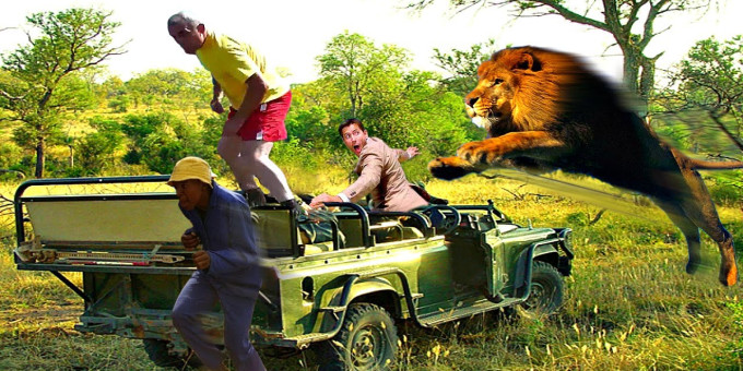 Лев запрыгнул в джип туристов: что случилось дальше