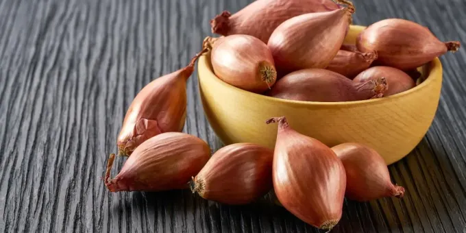 Невероятные свойства обычного лука
