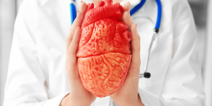 Риск смерти от инфаркта зависит от числа зубов