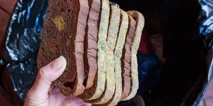 Что будет с организмом человека, перекусившего хлебом с плесенью