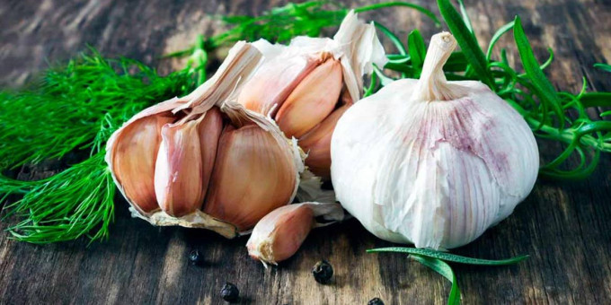Чеснок губительно действует на клетки рака: как правильно есть