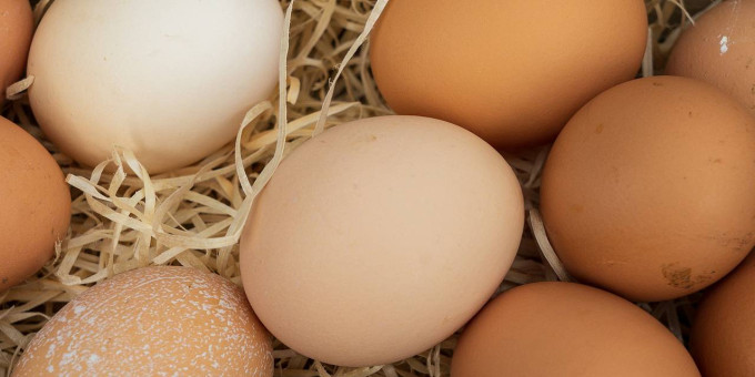 Вот в чем отличие коричневых и белых яиц