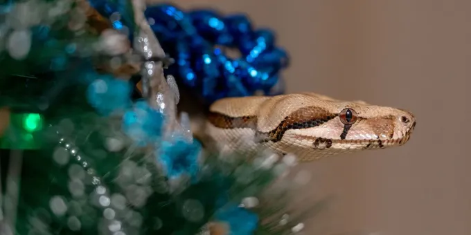 Увидев гостя, хозяйка поняла, что больше в этот дом не вернется