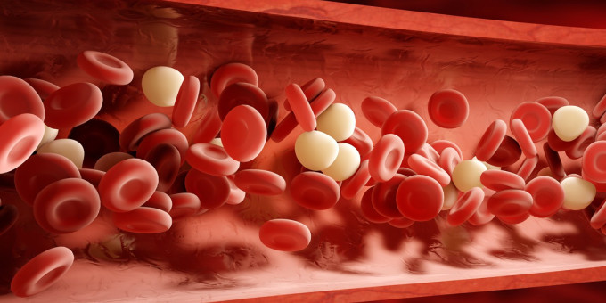 Разжижаем кровь: как спастись от инфаркта и инсульта