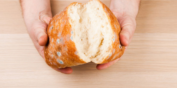 Что будет, если съесть хлеб с плесенью