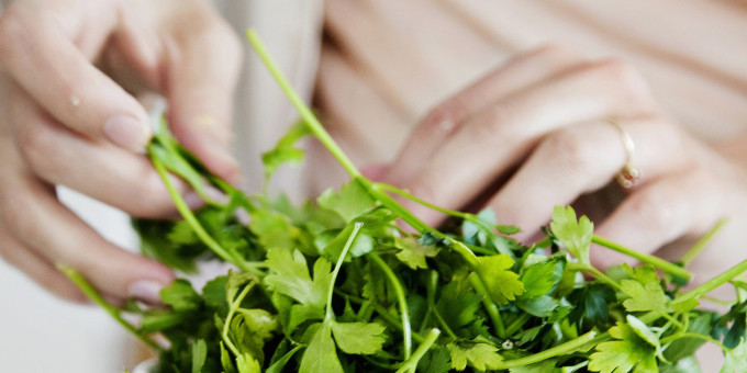 Польза и вред петрушки: кому ее категорически нельзя