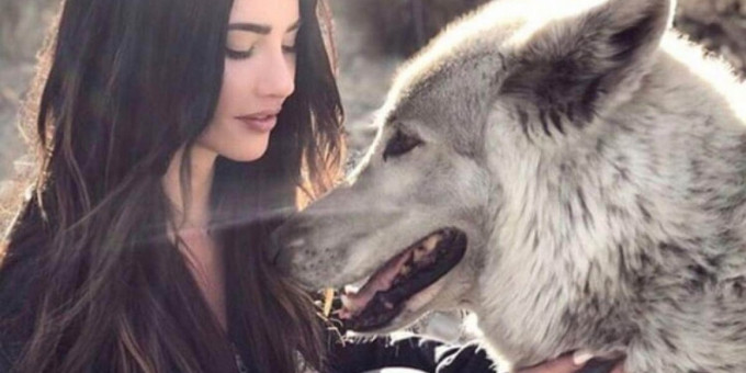 Волк садится рядом с человеком в лесу и вот что с ним вытворяет