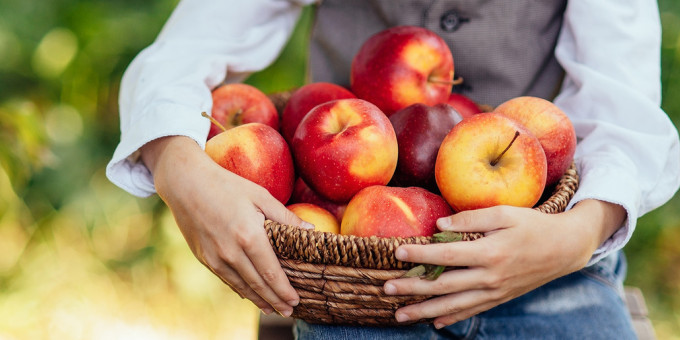 Яблоки какого цвета полезнее всего?