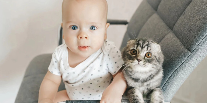 Отец ругал малыша, но тут пришел кот и «поругал» обидчика