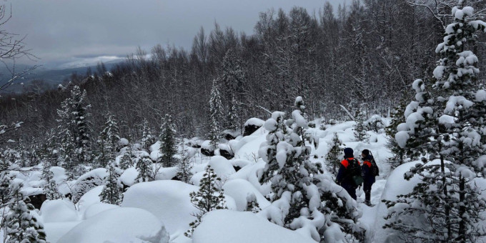 В лесу, где пропали Усольцевы, зафиксировали странное