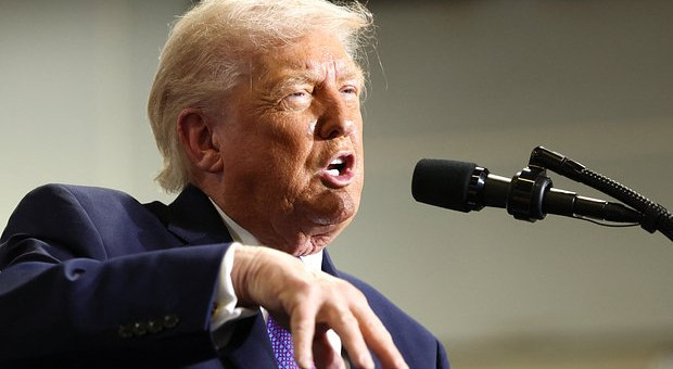 В США сообщили об обращении Трампа за помощью к Путину