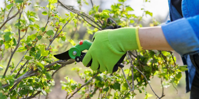Дачников предупредили о роковой весенней ошибке