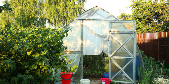 Запрет на теплицы с 1 мая: что важно срочно проверить на своём участке