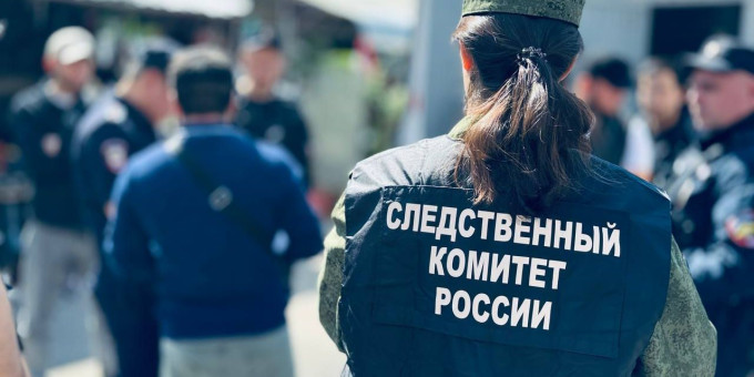 Бастрыкин занялся делом о женщине, захватившей деревню в РФ