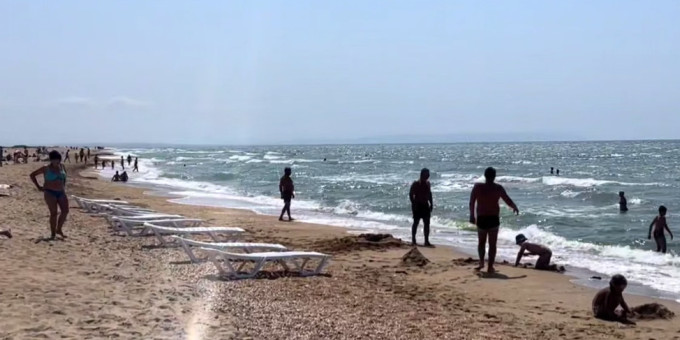 Акула выскочила на пляж Анапы: что было дальше