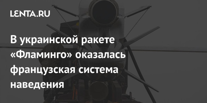 В украинской ракете «Фламинго» оказалась французская система наведения