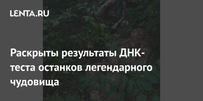 Раскрыты результаты ДНК-теста останков легендарного чудовища