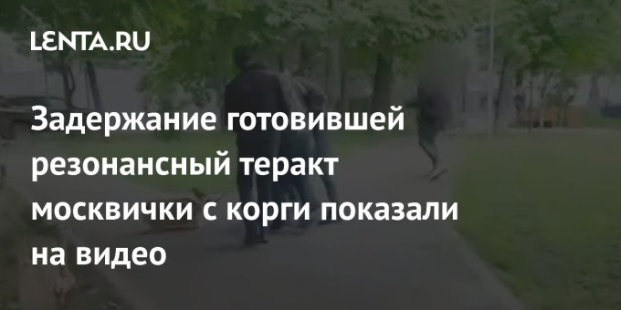 Задержание готовившей резонансный теракт москвички с корги показали на видео