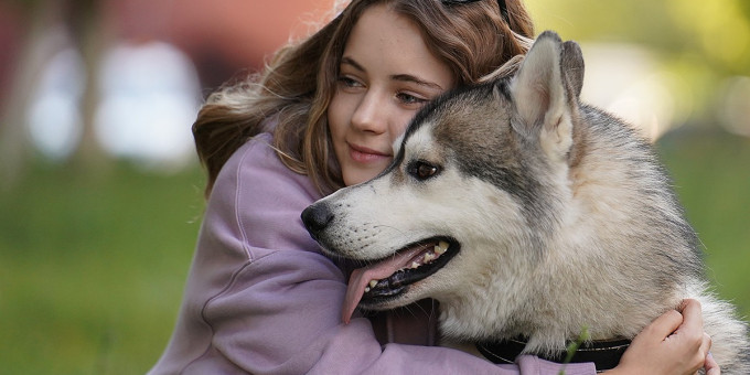 Кошки и собаки «лечат» своих хозяев от стресса. Но есть нюанс