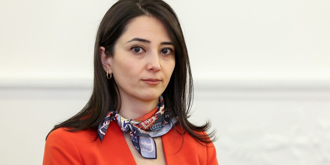 Ереван отреагировал на сообщения о создании в Армении центра для нелегалов из ЕС