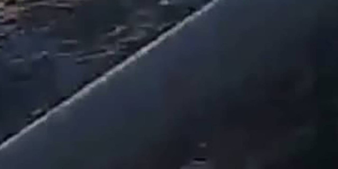 В Петербурге невеста спрыгнула с теплохода в реку на собственной свадьбе и попала на видео