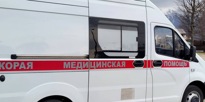 Стало известно об устроенной медведем «бойне» в российском селе