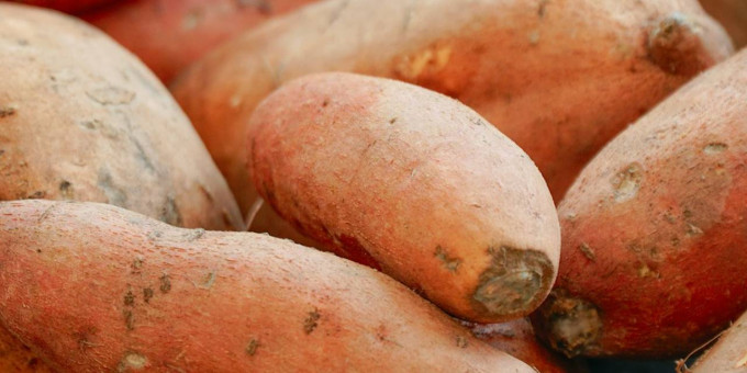 Названы способные усиливать воспаление кишечника продукты