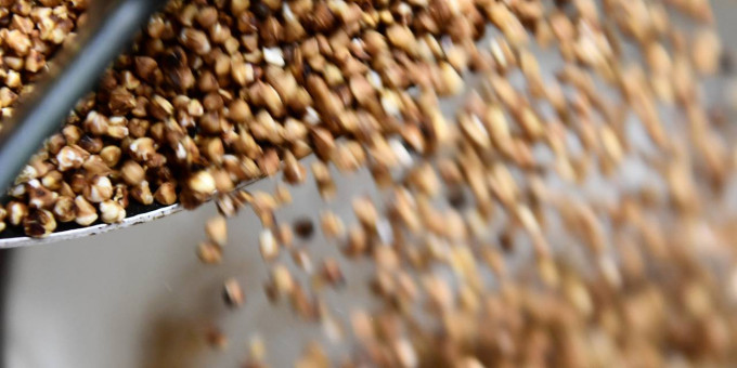 Россиянам назвали три продукта для поддержания здоровья сердца и сосудов