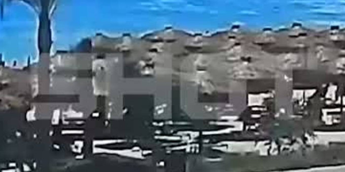 Пальма рухнула на лежаки с российскими туристами в Египте и попала на видео