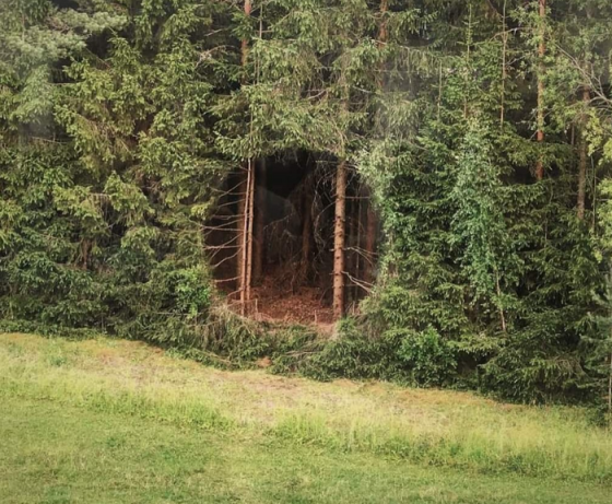 Местные жители нашли загадочную дыру в лесу и долго не могли понять откуда взялся этот «вход» в другой мир
